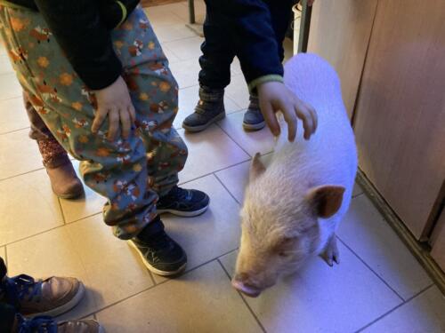 minizoo-opava-043
