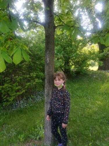 Andrejka
