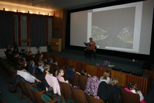IMG 4785