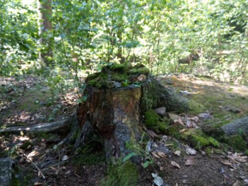 IMG-20200625-WA0034 (2)